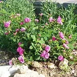 La Bastide De La Reine Margot Semesterbostad Beaumont (Haute-Loire)