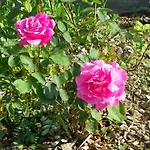 Semesterbostad La Bastide De La Reine Margot Beaumont (Haute-Loire)