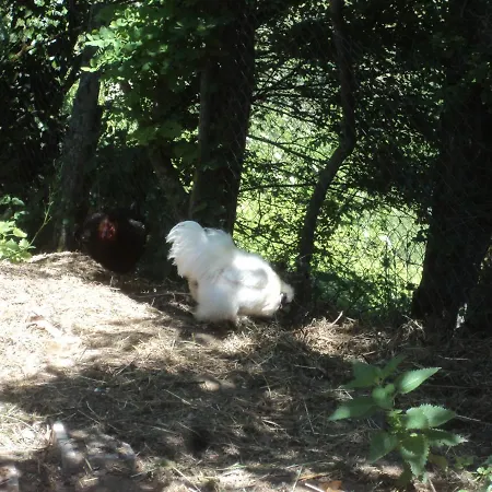 La Bastide De La Reine Margot Prázdninový dům Beaumont (Haute-Loire)