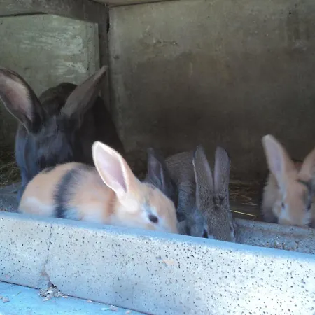 La Bastide De La Reine Margot * Beaumont (Haute-Loire)