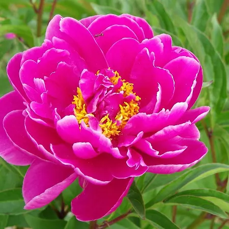 La Bastide De La Reine Margot Prázdninový dům Beaumont (Haute-Loire)