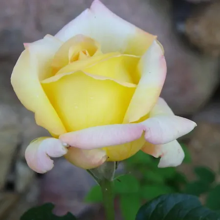 La Bastide De La Reine Margot
